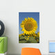 Sunflower Wall Mural