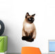 Siamese Cat With Bright Blue Eyes Wall Decal