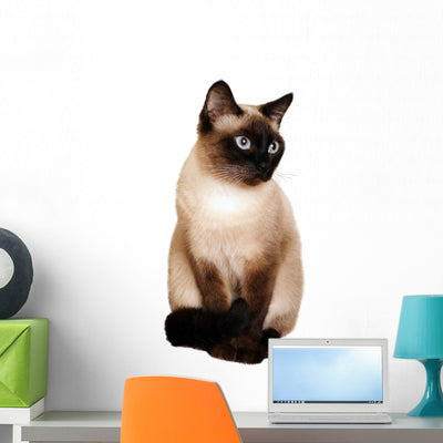 Siamese Cat Wall Decal shown on a wall