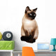 Siamese Cat With Bright Blue Eyes Wall Decal