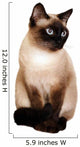 Siamese Cat With Bright Blue Eyes Wall Decal