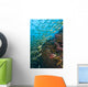 School Of Bigeye Snappers Wall Mural