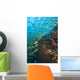 School Of Bigeye Snappers Wall Mural