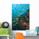 School Of Bigeye Snappers Wall Mural