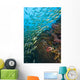 School Of Bigeye Snappers Wall Mural