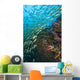 School Of Bigeye Snappers Wall Mural