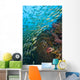 School Of Bigeye Snappers Wall Mural