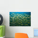 Schooling Bigeye Snappers Wall Mural