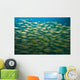 Schooling Bigeye Snappers Wall Mural