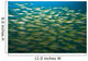 Schooling Bigeye Snappers Wall Mural