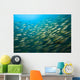 Bigeye Snappers Wall Mural