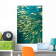 Bigeye Snappers Wall Mural