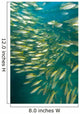 Bigeye Snappers Wall Mural