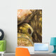 Giant Clam And Goby Fish Wall Mural