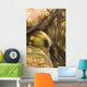 Giant Clam And Goby Fish Wall Mural