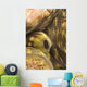 Giant Clam And Goby Fish Wall Mural
