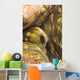 Giant Clam And Goby Fish Wall Mural