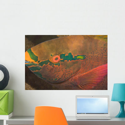 Parrotfish Wall Mural shown on a wall