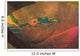 Parrotfish Wall Mural