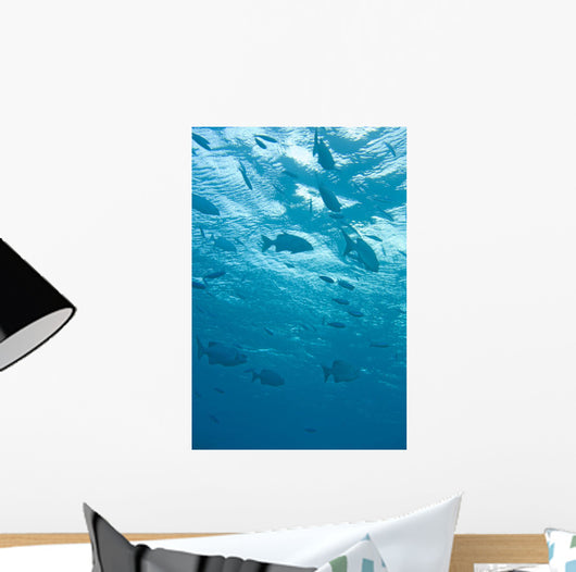 Fish Underwater Wall Mural