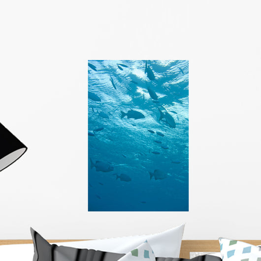 Fish Underwater Wall Mural
