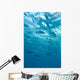 Fish Underwater Wall Mural