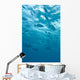 Fish Underwater Wall Mural