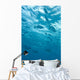 Fish Underwater Wall Mural