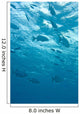 Fish Underwater Wall Mural