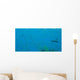 Bigeye Sweepers, Similan Islands National Marine Park, Thailand Wall Mural