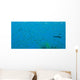 Bigeye Sweepers, Similan Islands National Marine Park, Thailand Wall Mural