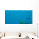 Bigeye Sweepers, Similan Islands National Marine Park, Thailand Wall Mural