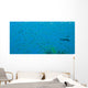 Bigeye Sweepers, Similan Islands National Marine Park, Thailand Wall Mural