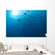 Blue Fusiliers, Similan National Marine Park, Thailand Wall Mural