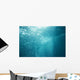 Bubbles Underwater Wall Mural