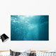 Bubbles Underwater Wall Mural