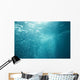 Bubbles Underwater Wall Mural