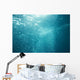 Bubbles Underwater Wall Mural