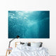 Bubbles Underwater Wall Mural