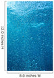 Bubbles Underwater Wall Mural