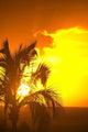 Sunset, Wailea, Maui, Hawaii, Usa Wall Mural
