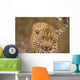 Leopard Wall Mural