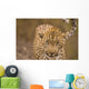 Leopard Wall Mural