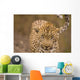 Leopard Wall Mural
