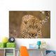 Leopard Wall Mural