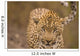Leopard Wall Mural