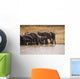 African Elephant Wall Mural