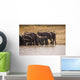 African Elephant Wall Mural