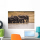 African Elephant Wall Mural