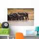 African Elephant Wall Mural